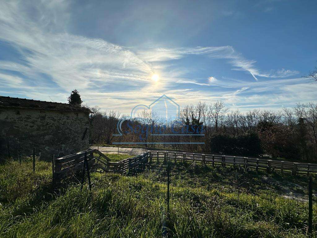  - foto 35