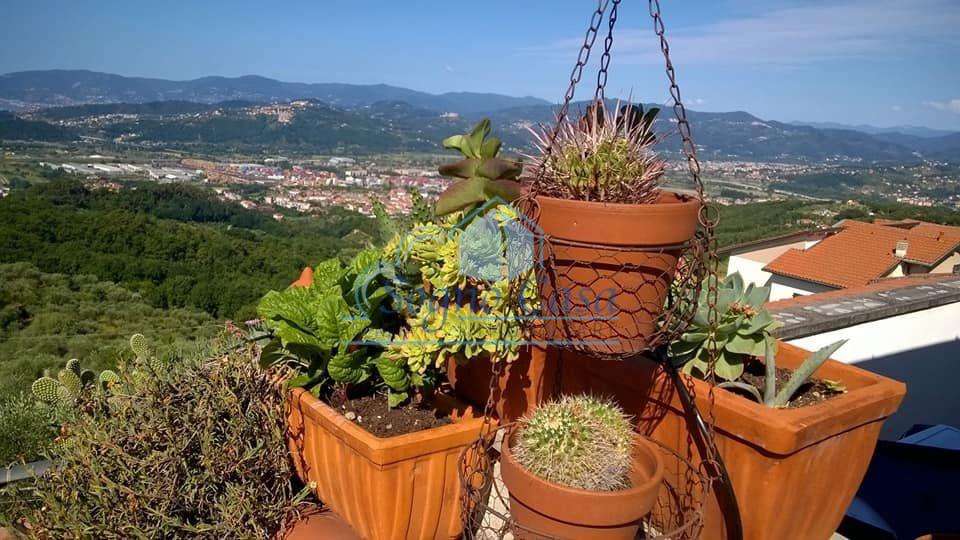 - foto 37