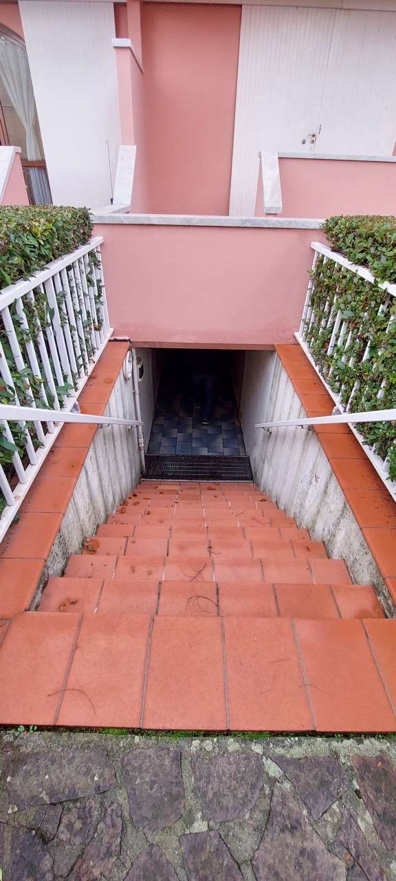  - foto 36