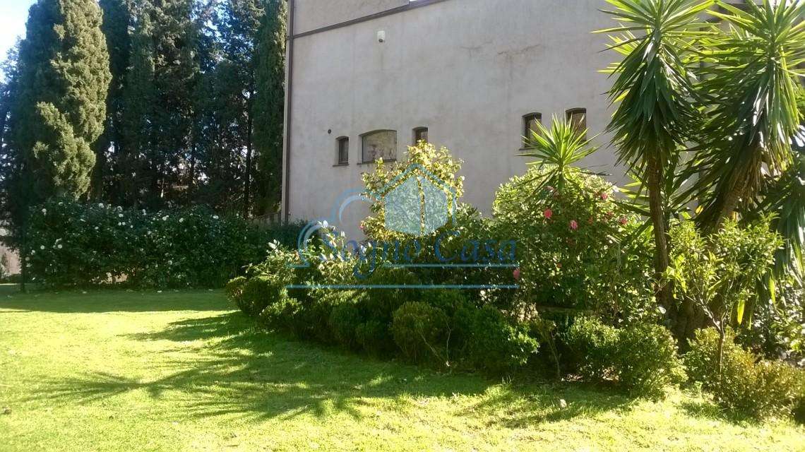  - foto 43
