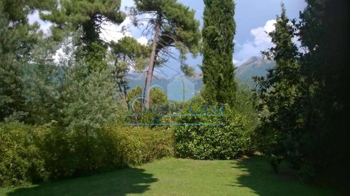  - foto 48