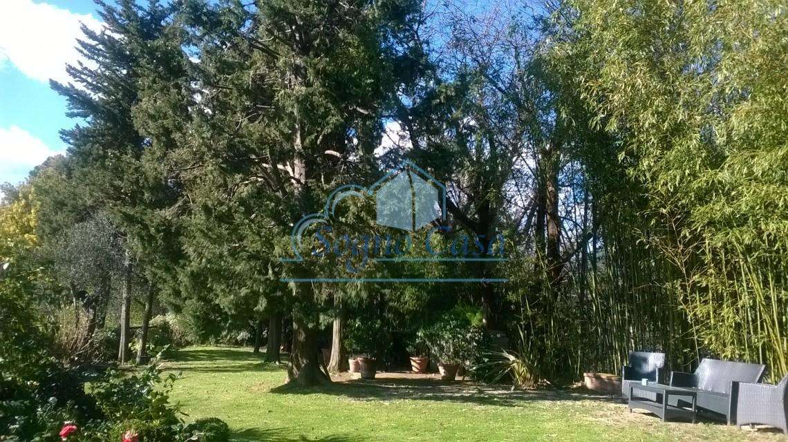  - foto 9