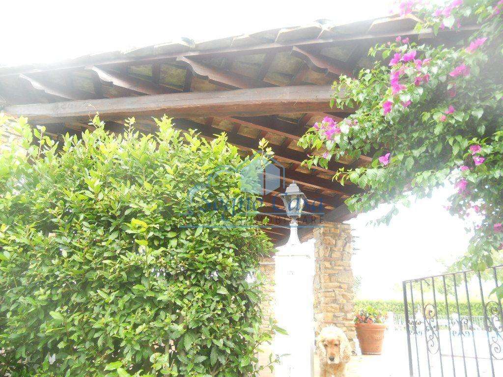  - foto 14