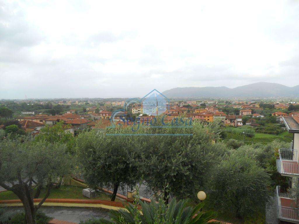  - foto 16