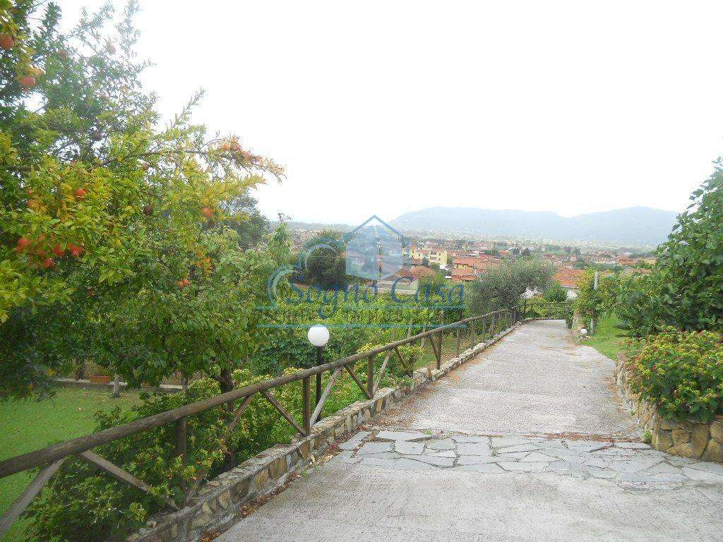  - foto 5