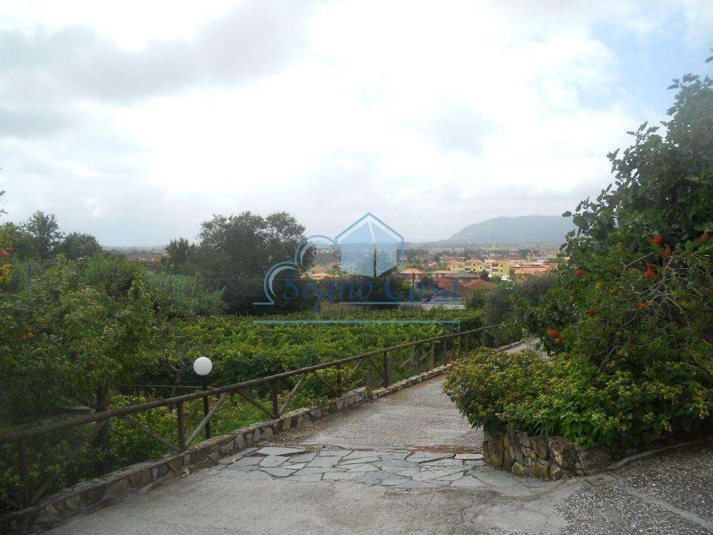  - foto 56
