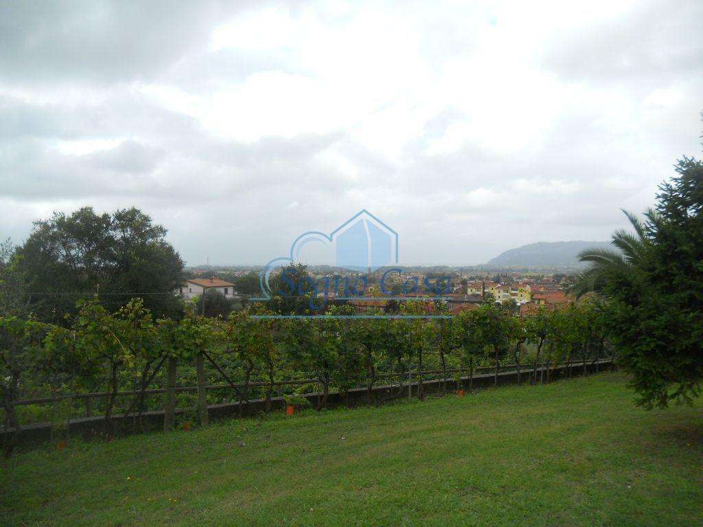  - foto 8