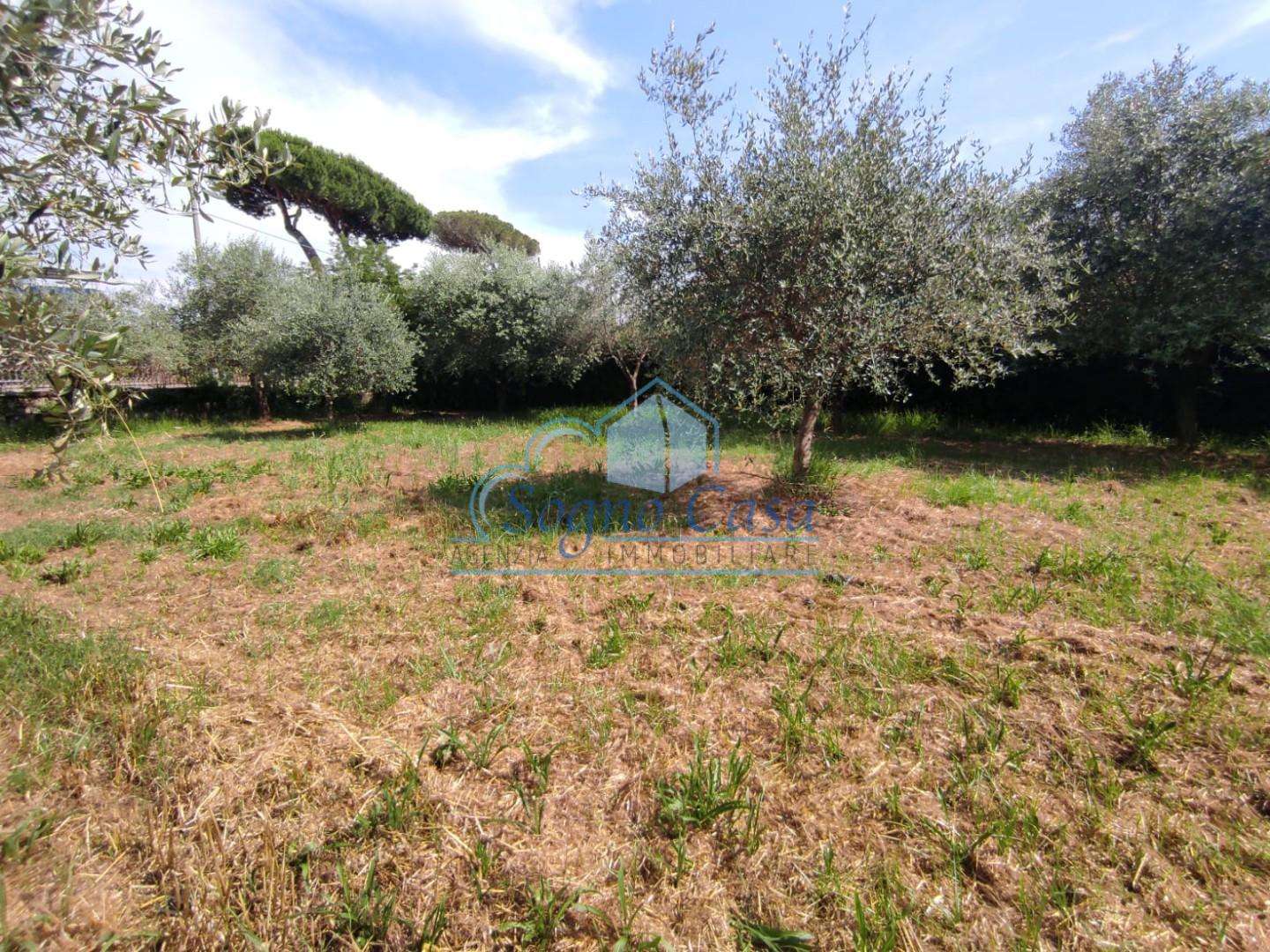 immagine annuncio 5 di 7