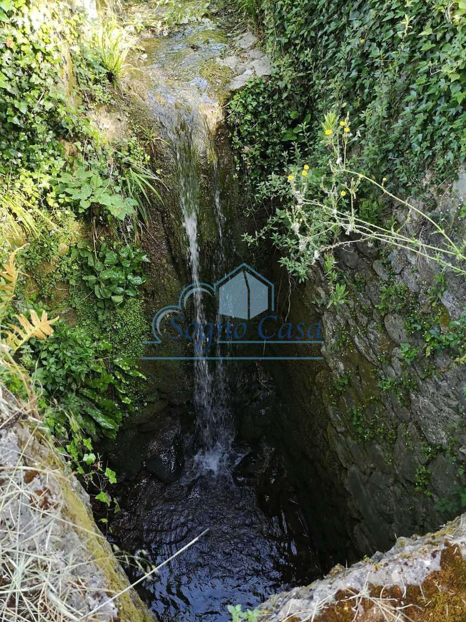  - foto 24
