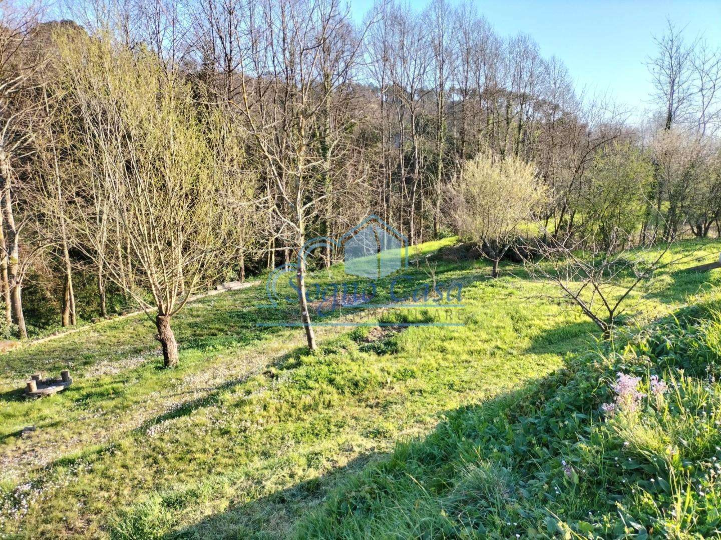  - foto 63