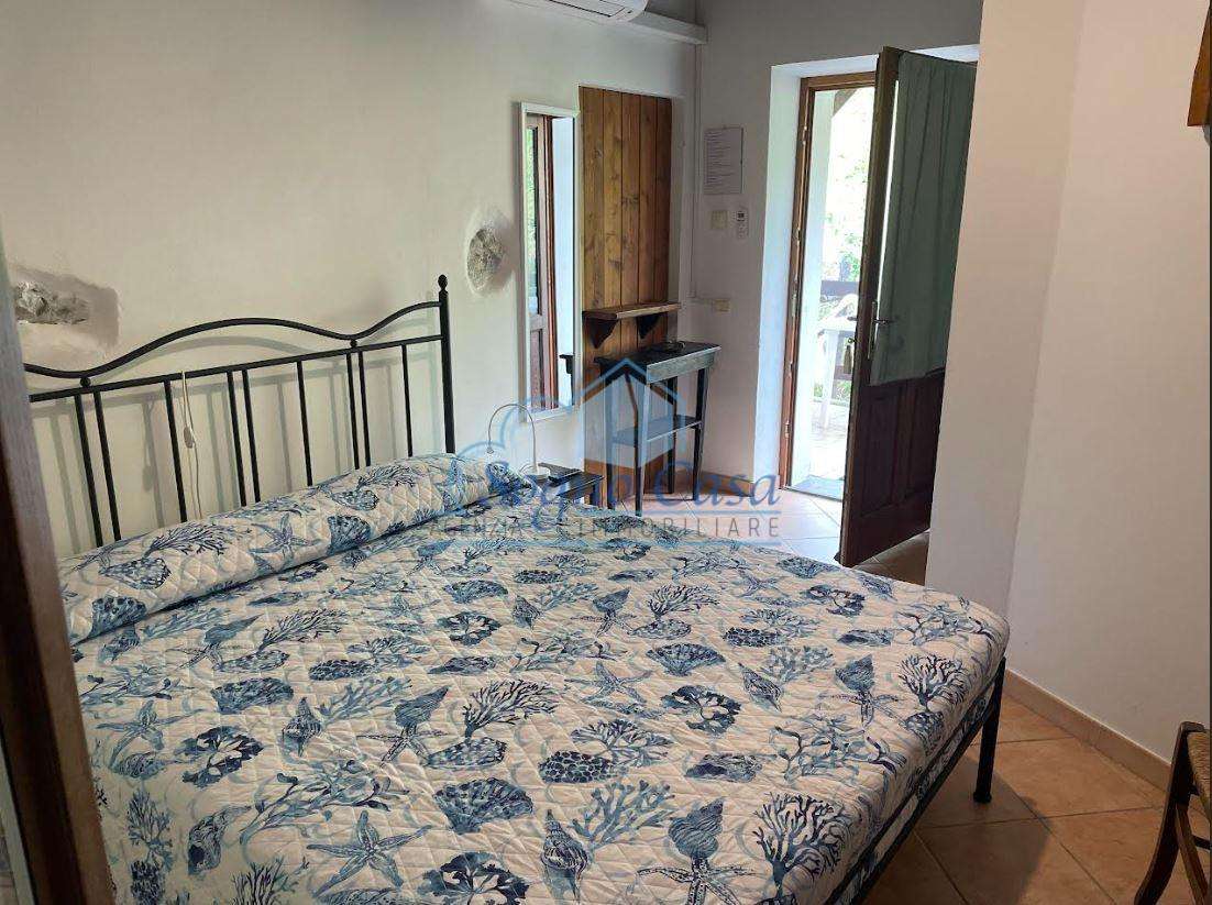  - foto 37