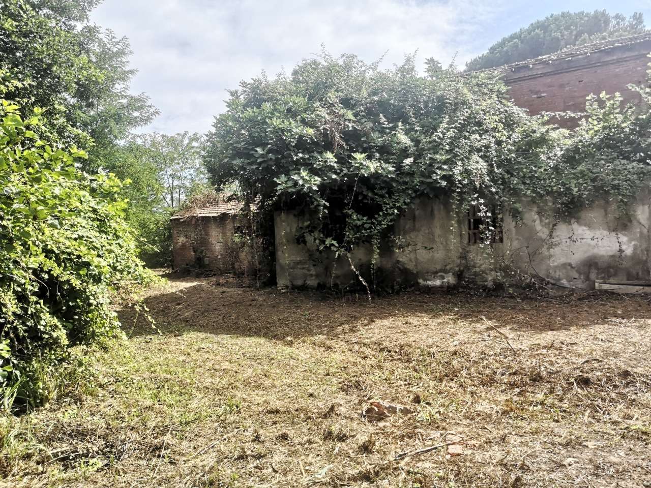 immagine annuncio 2 di 14