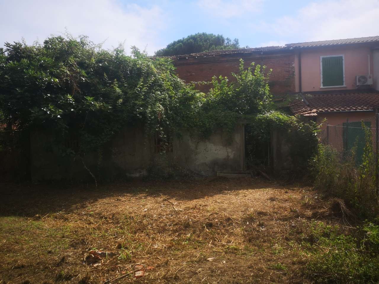 immagine annuncio 3 di 14
