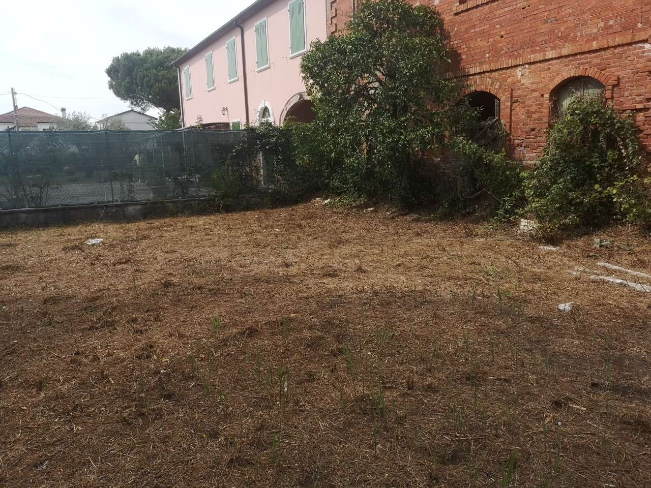 immagine annuncio 7 di 14