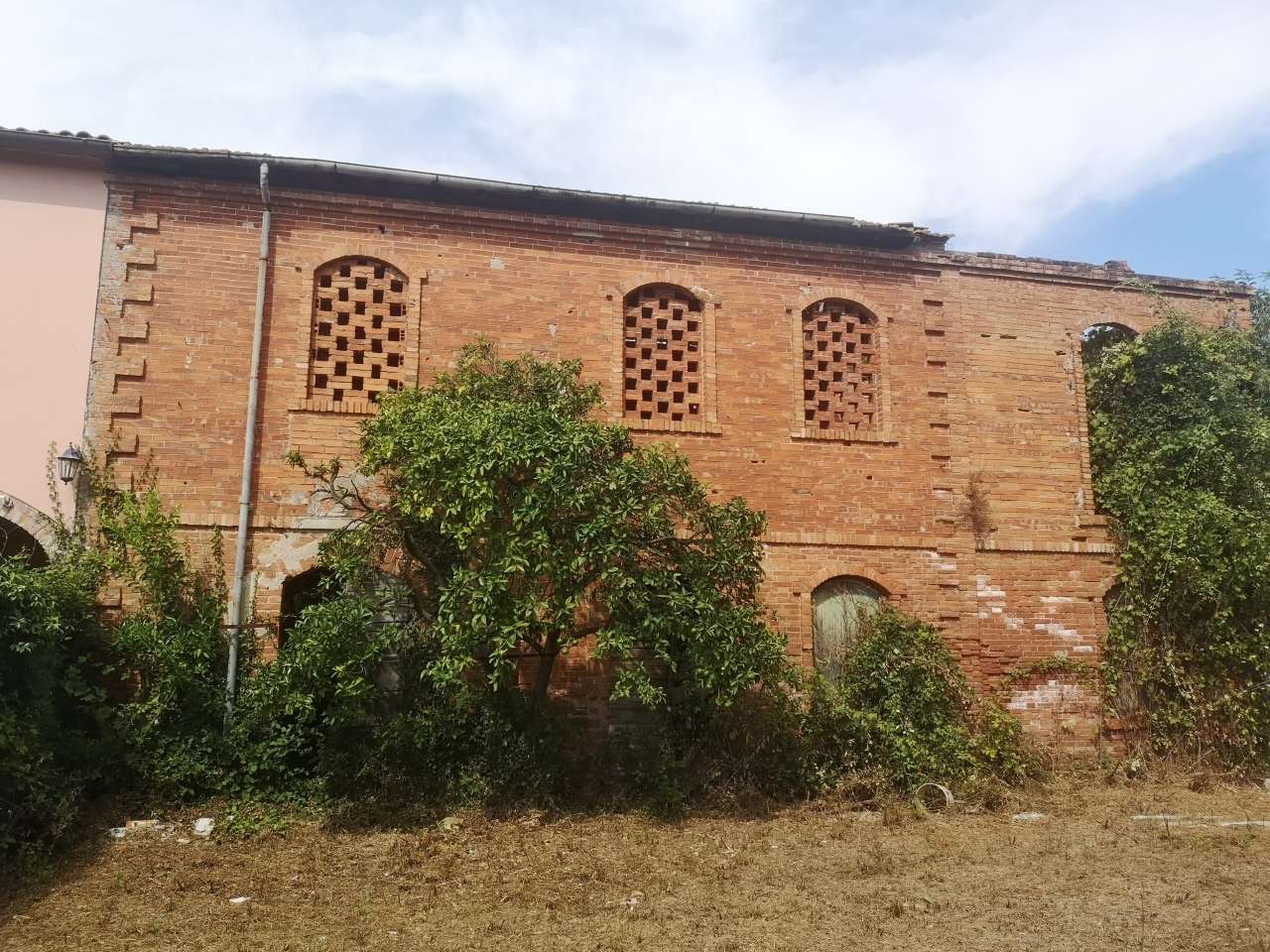 immagine annuncio 12 di 14