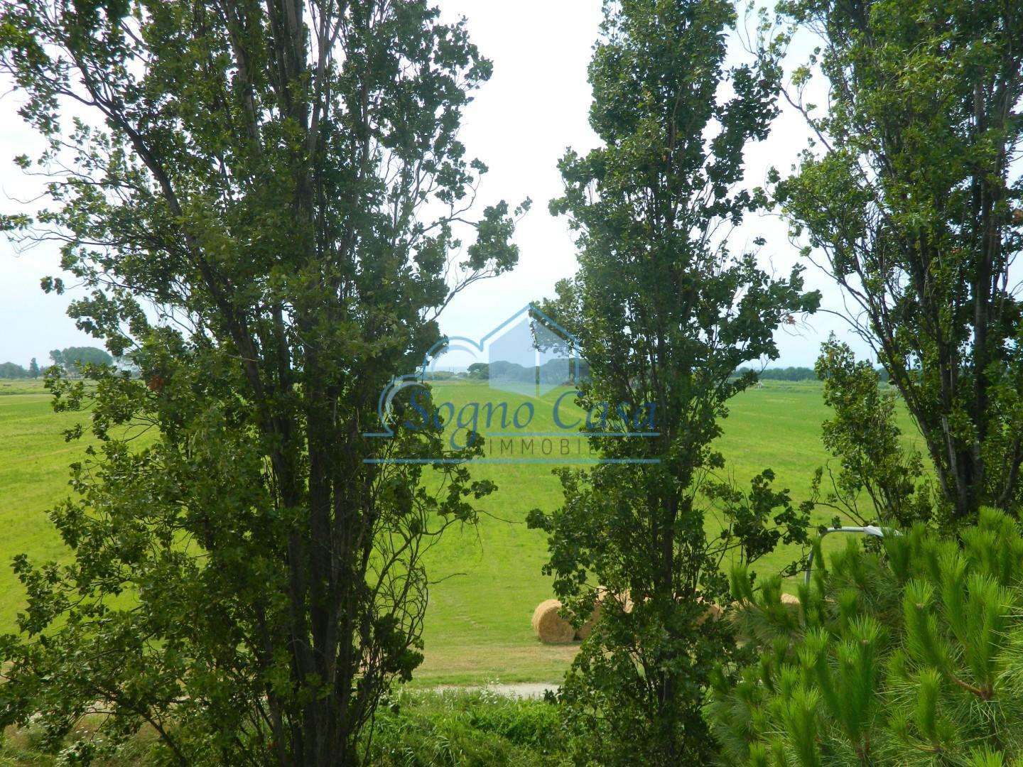  - foto 20