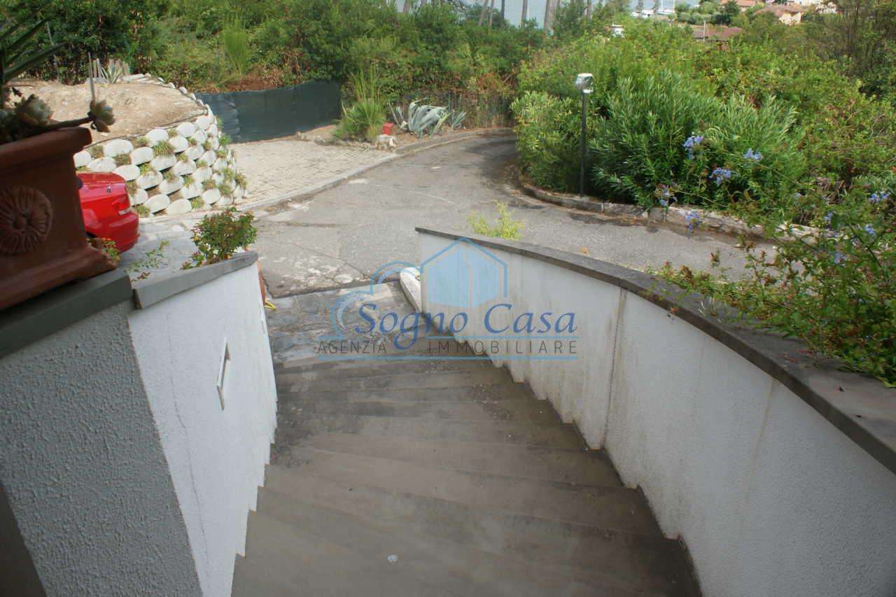  - foto 21