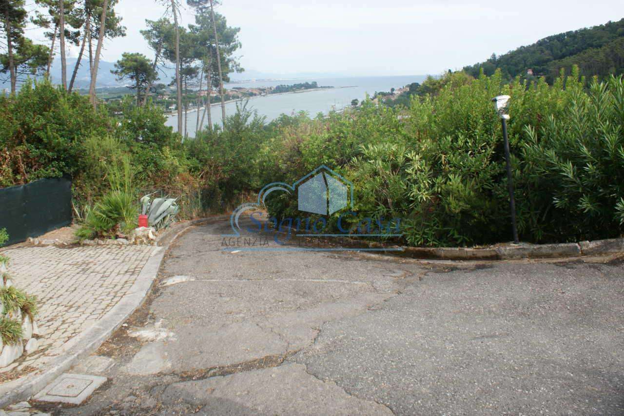  - foto 37