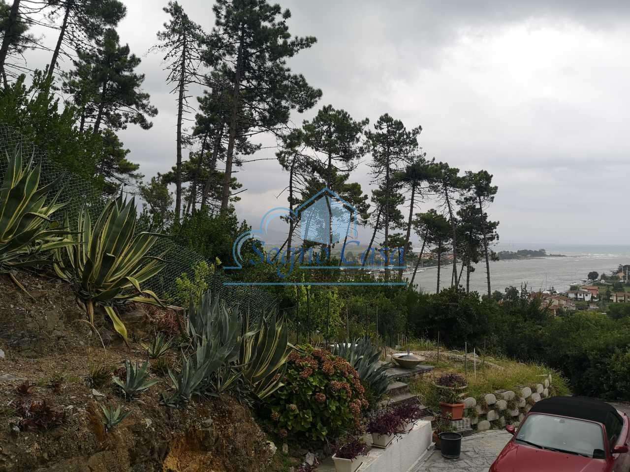  - foto 41