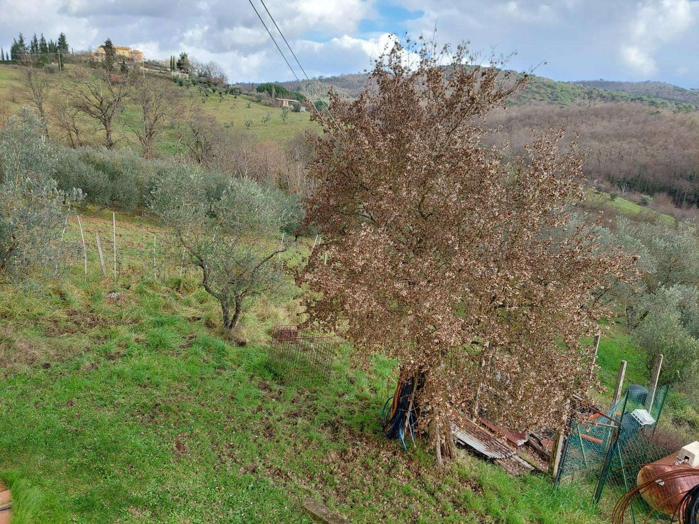  - foto 31