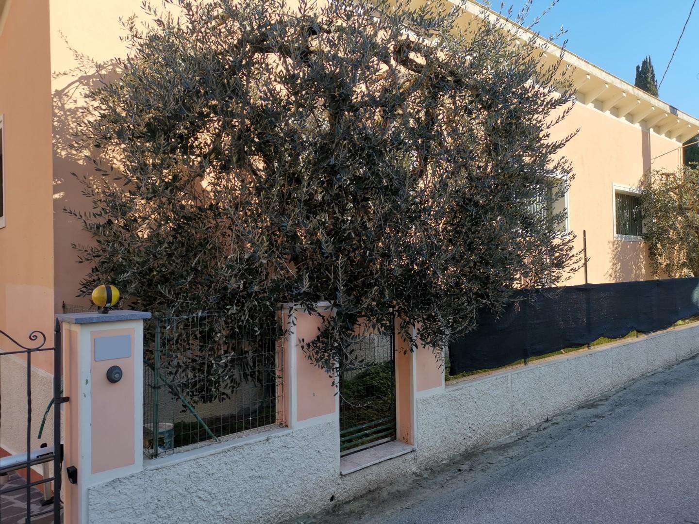 immagine annuncio 1 di 9