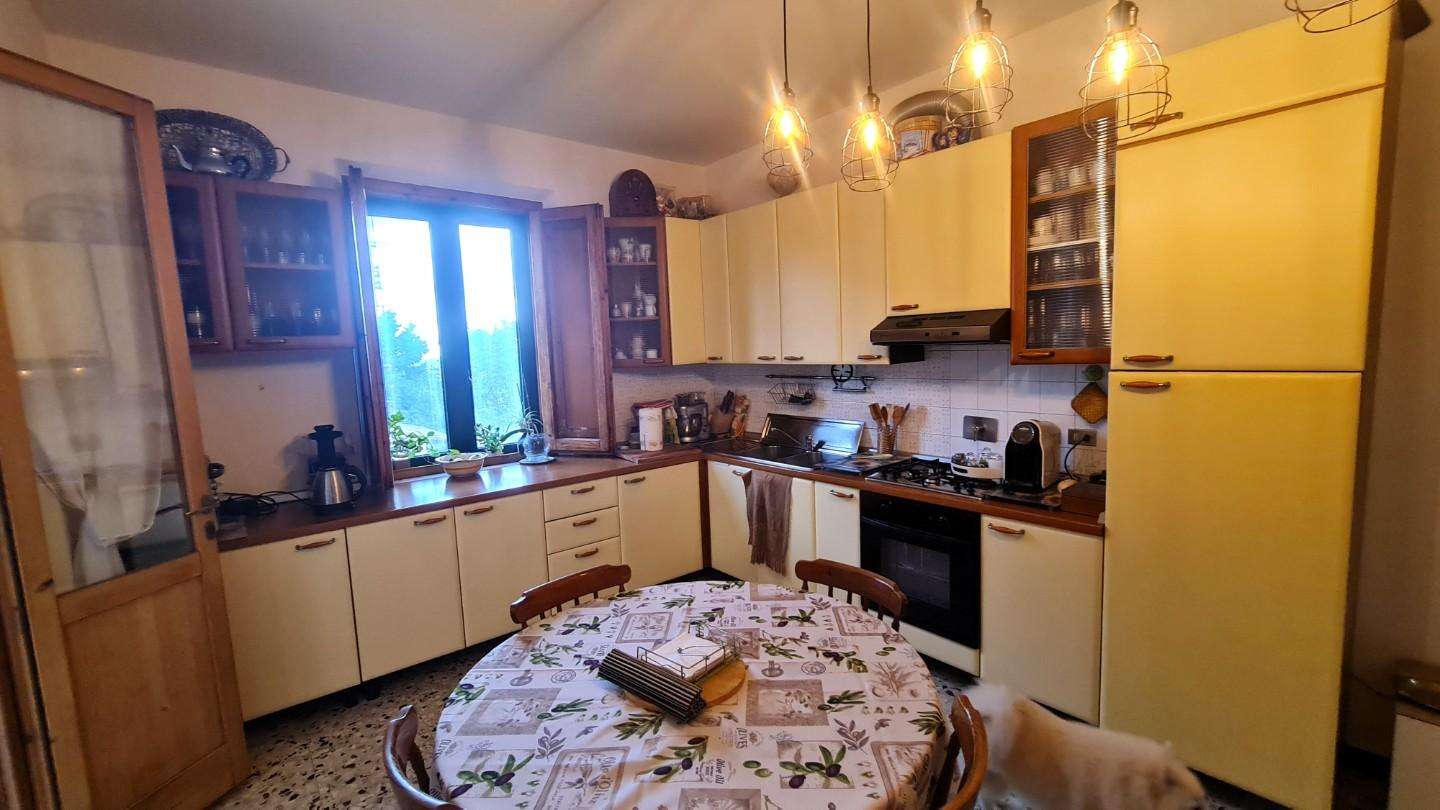 immagine annuncio 8 di 12