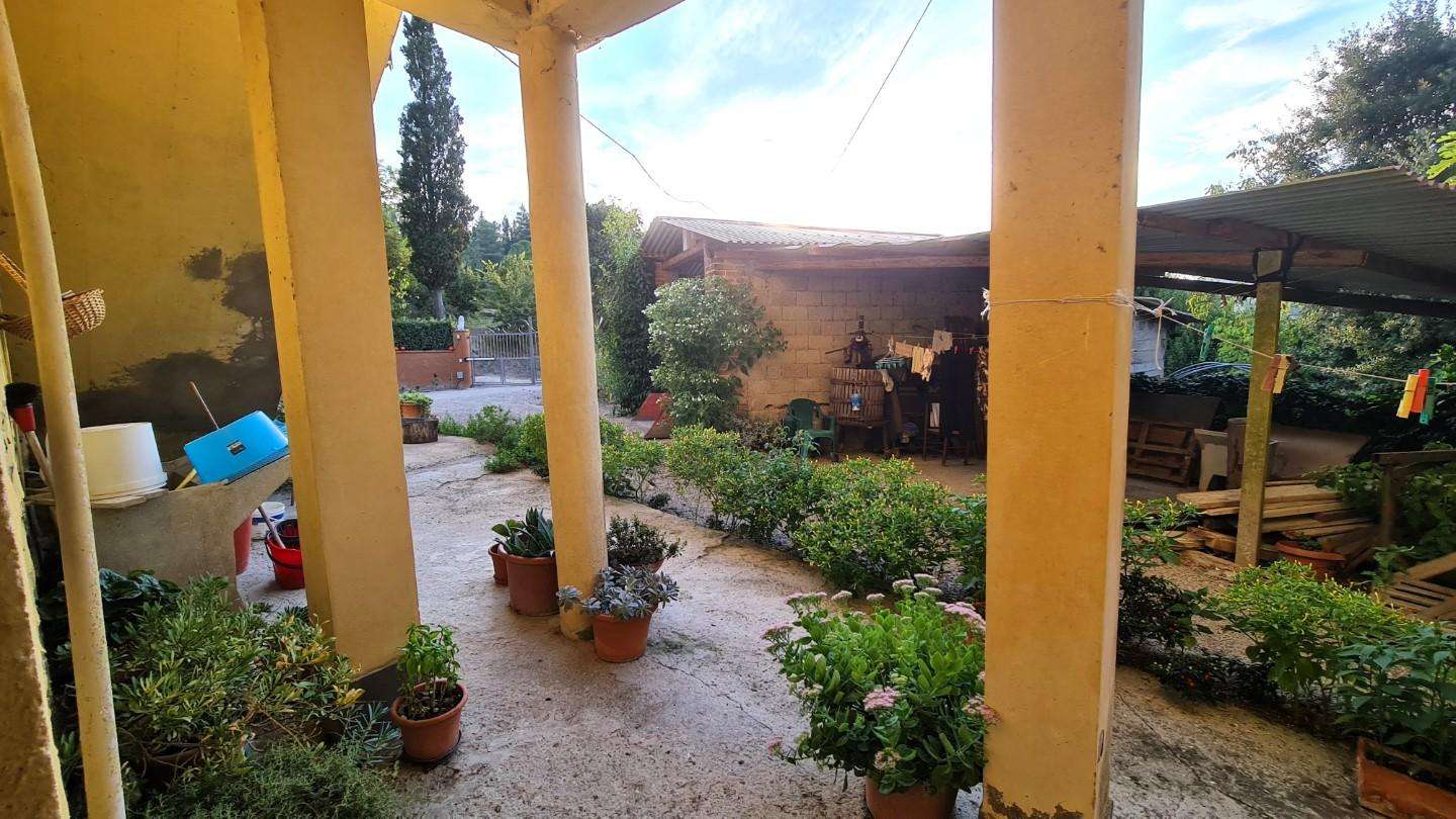  - foto 2