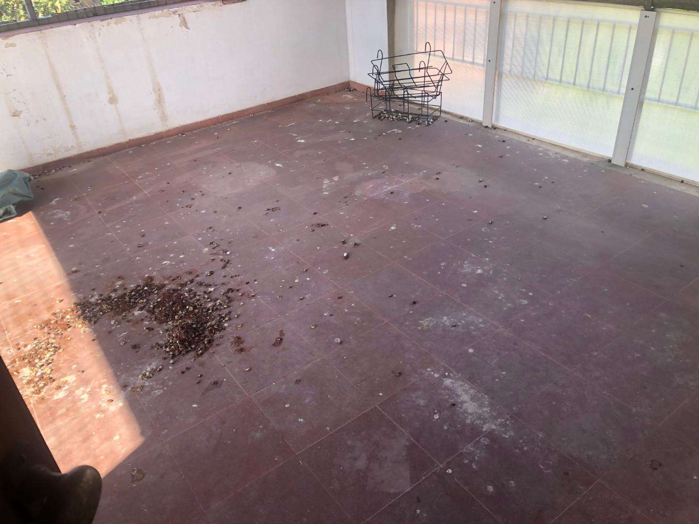  - foto 12