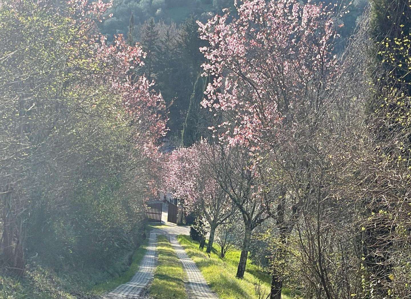 Casale San Casciano in Val di Pesa FI,, San Casciano in Val di Pesa