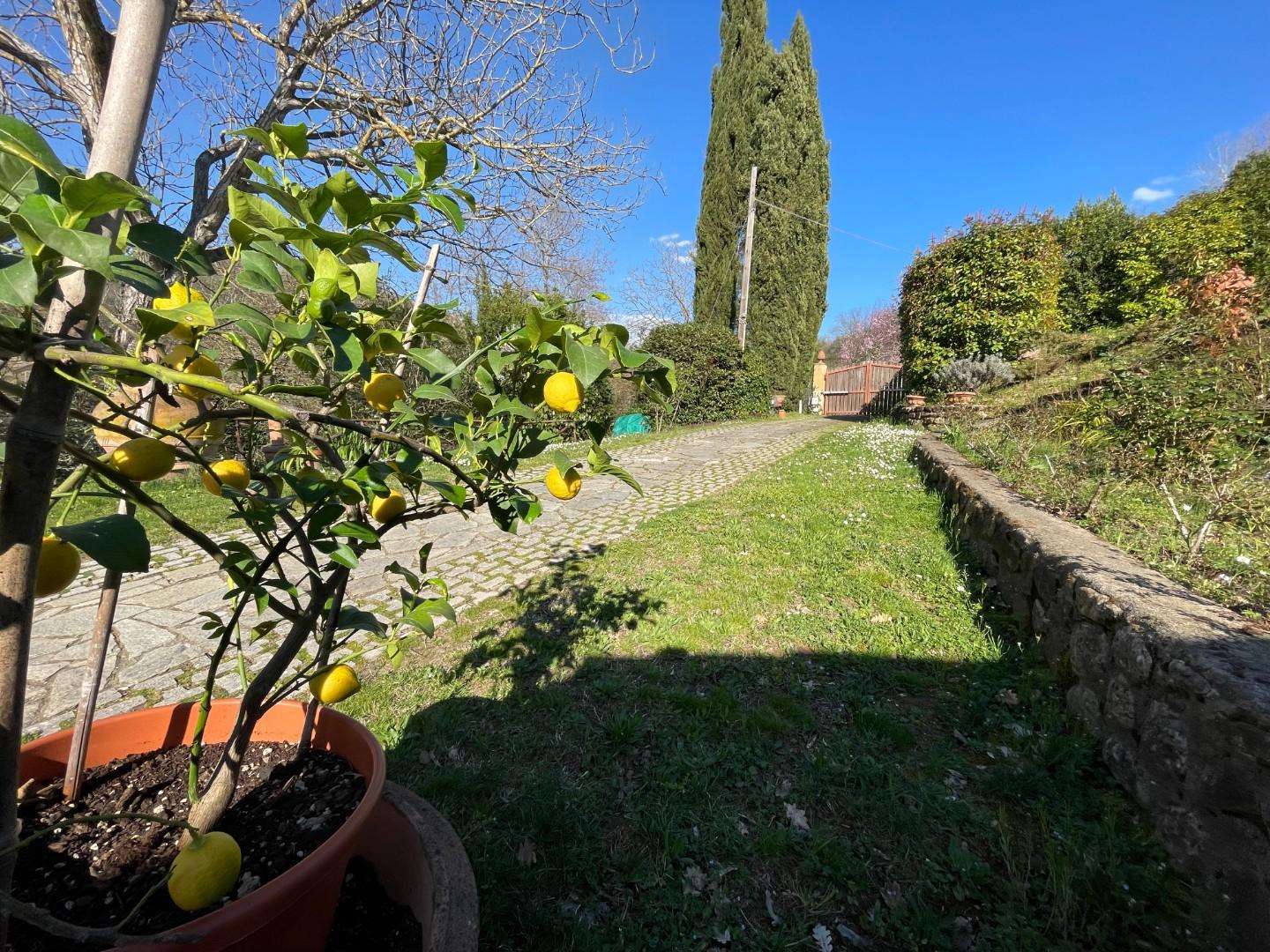  - foto 3