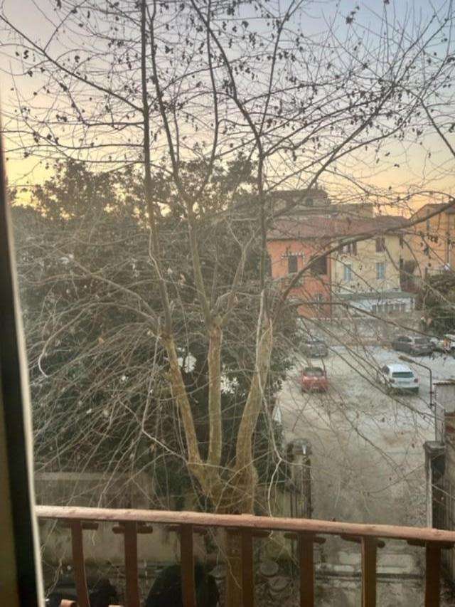  - foto 11