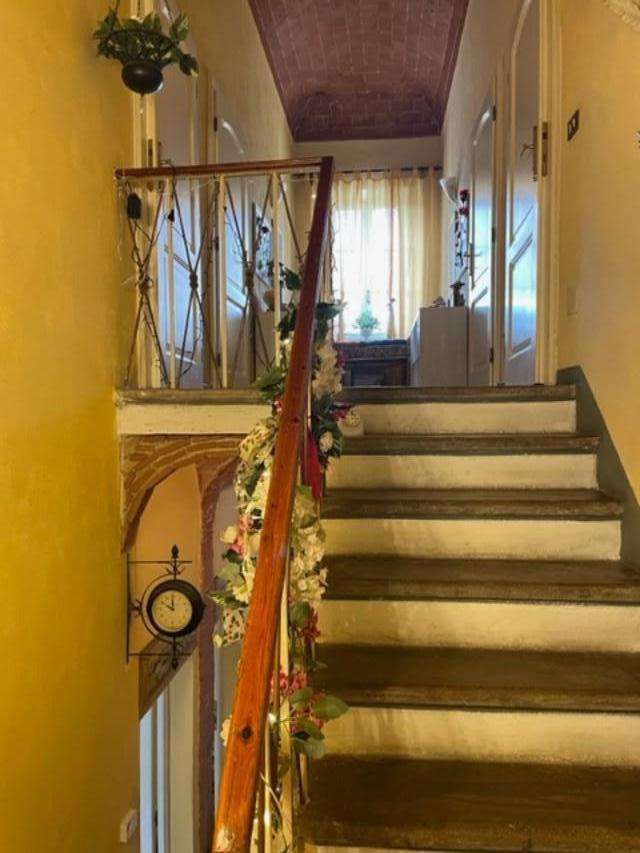  - foto 11