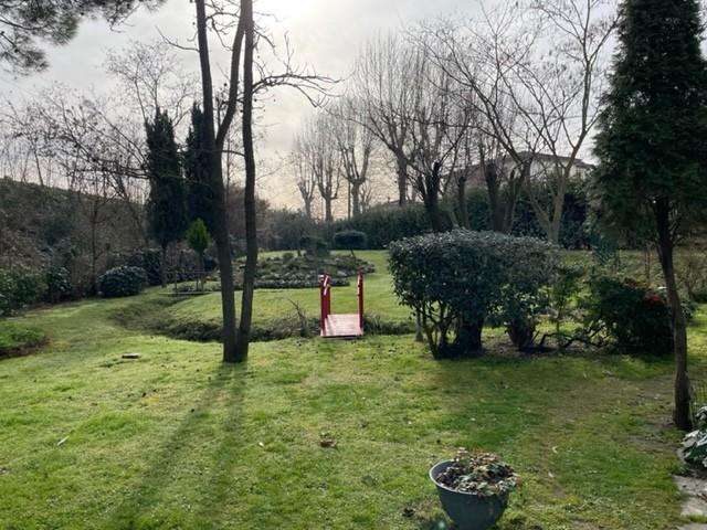  - foto 36