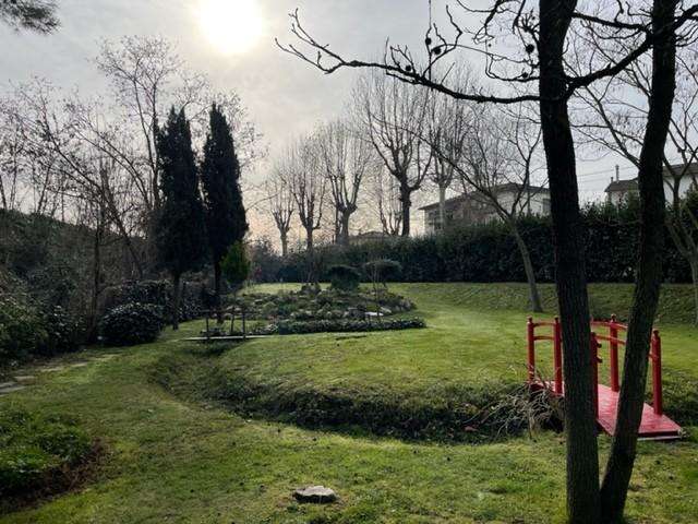  - foto 37