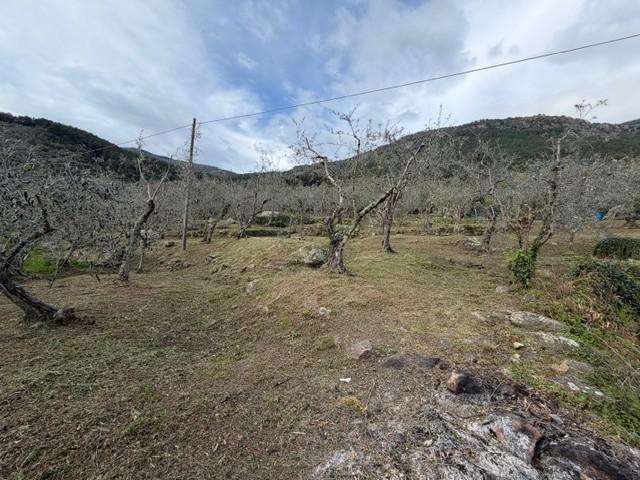  - foto 12