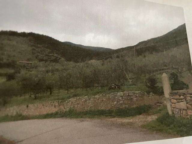 immagine annuncio 1 di 7