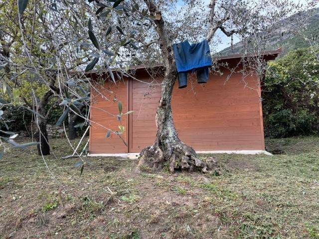  - foto 22
