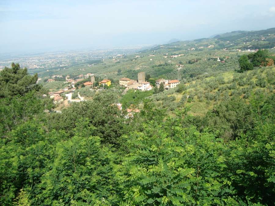 immagine annuncio 4 di 14