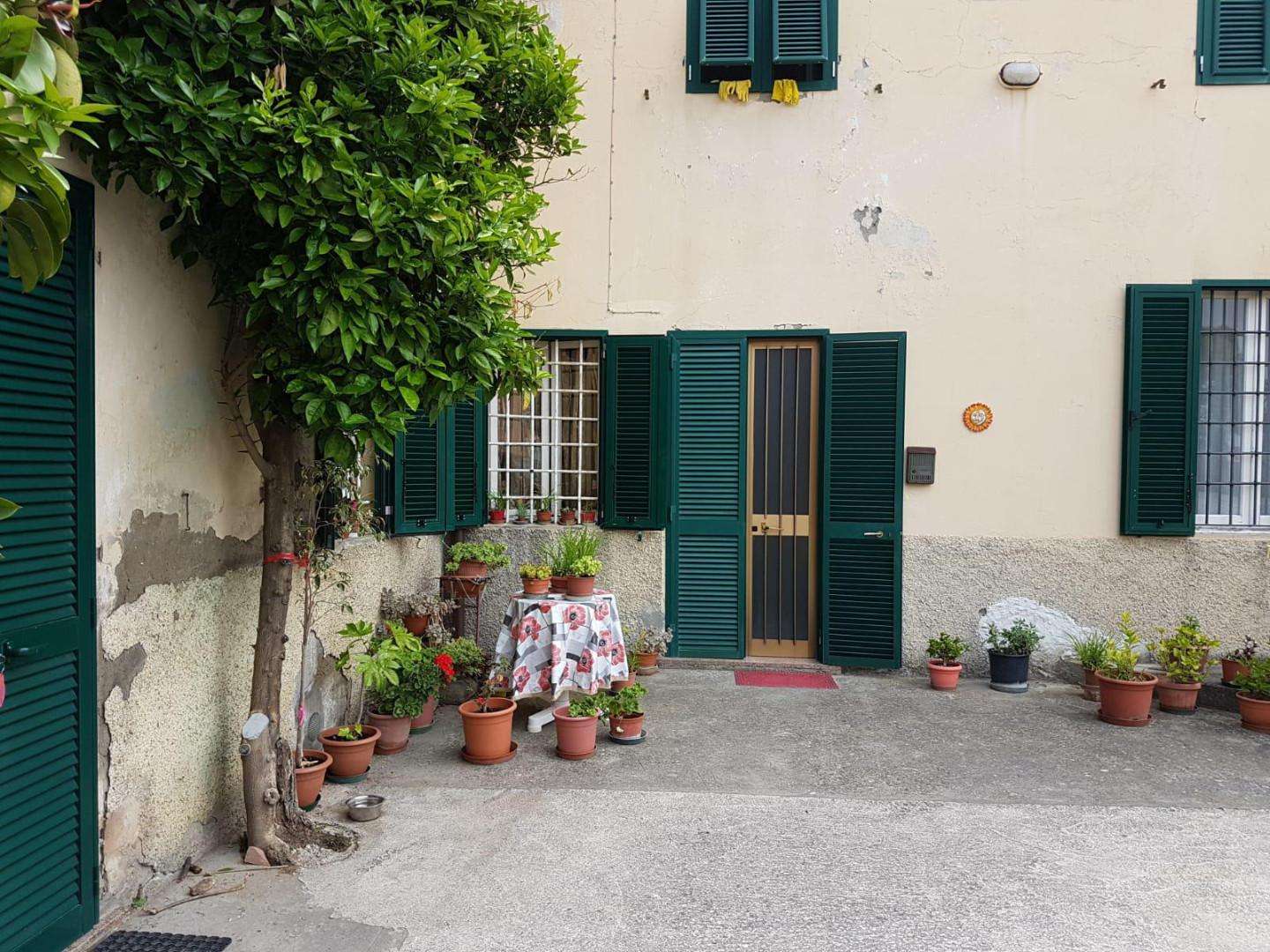 immagine annuncio 6 di 14