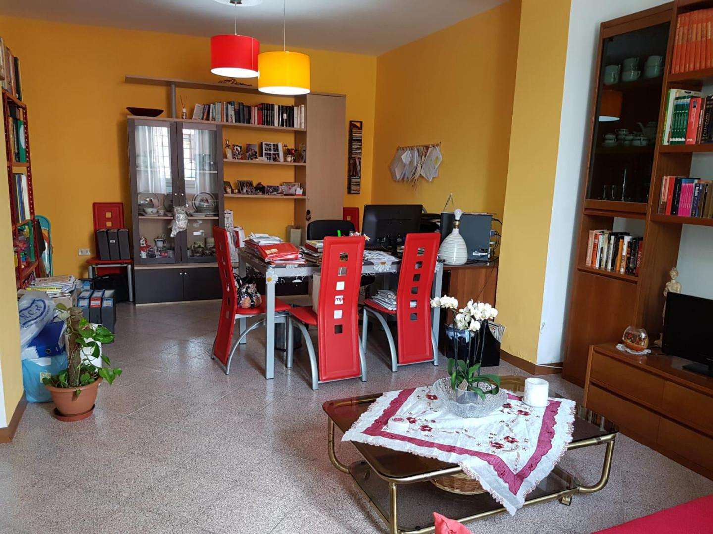 immagine annuncio 7 di 14