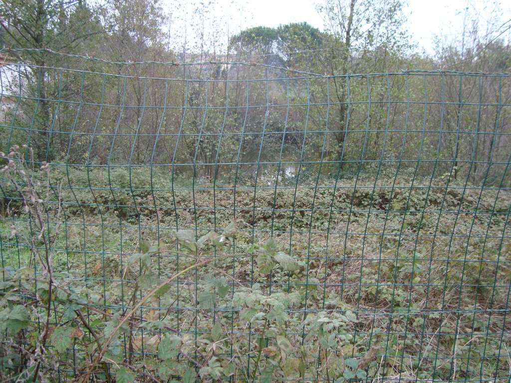  - foto 11