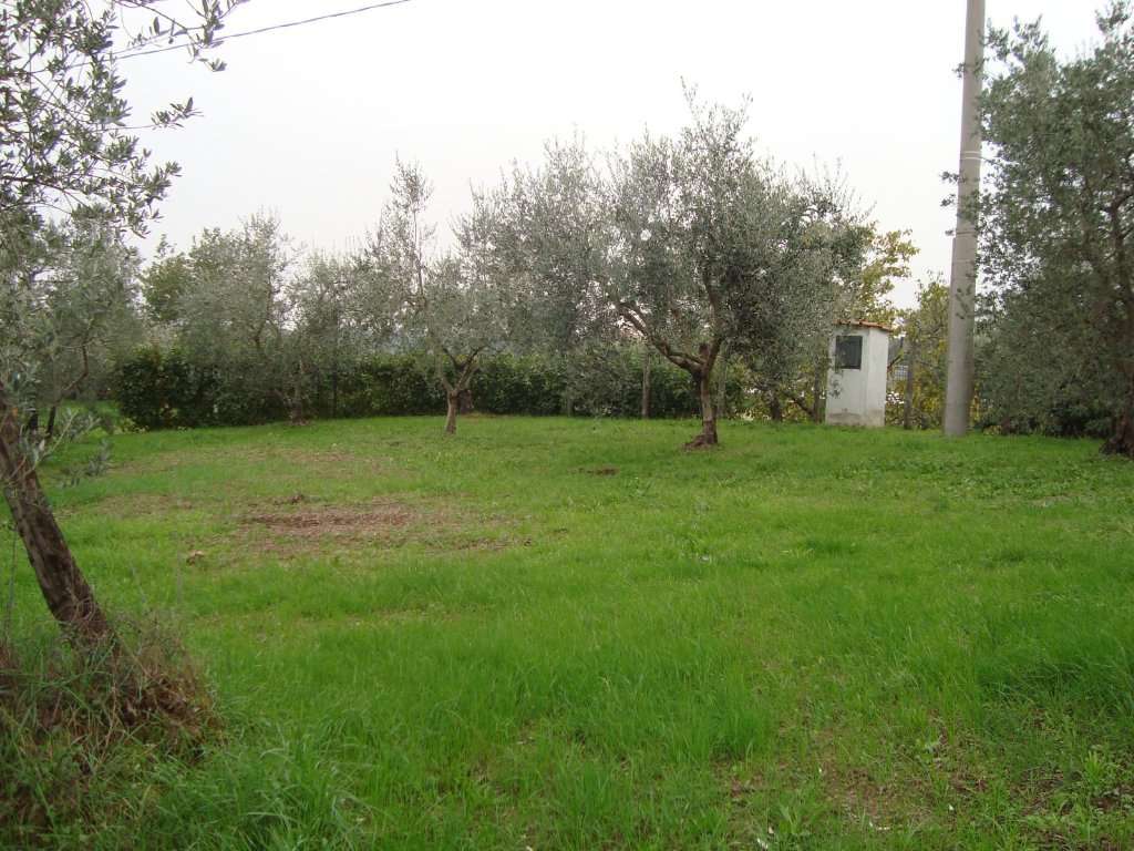  - foto 8