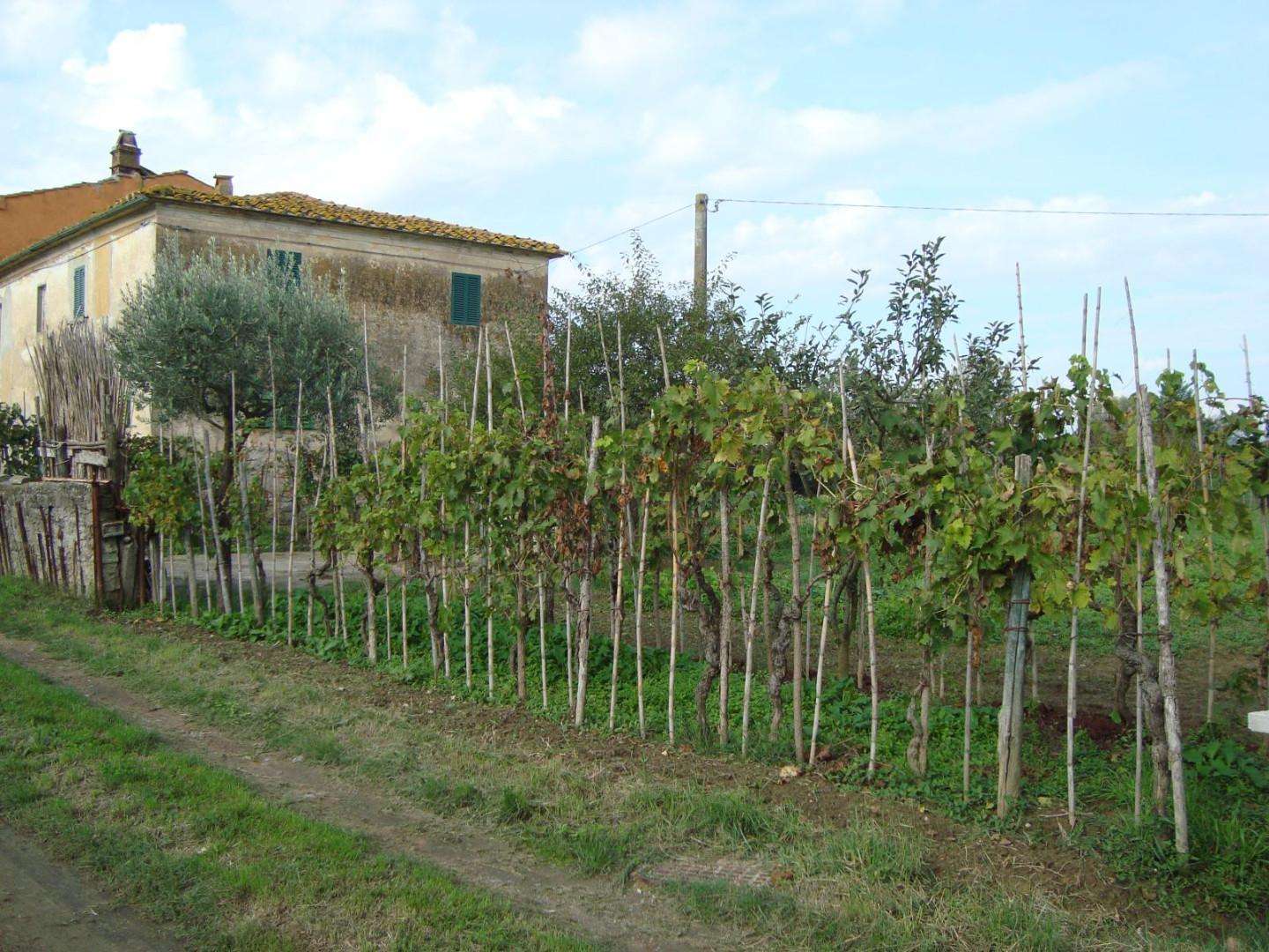 Casale Via G. Matteotti,, Larciano