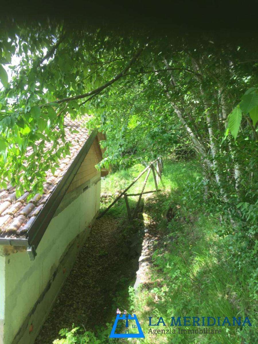  - foto 19