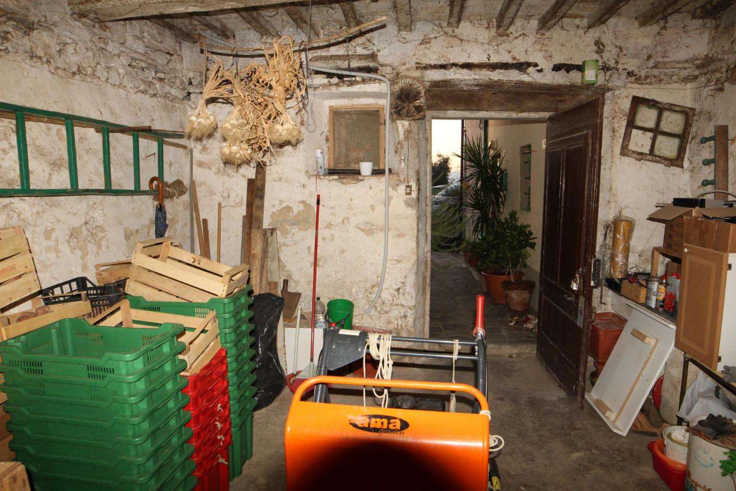 immagine annuncio 2 di 6