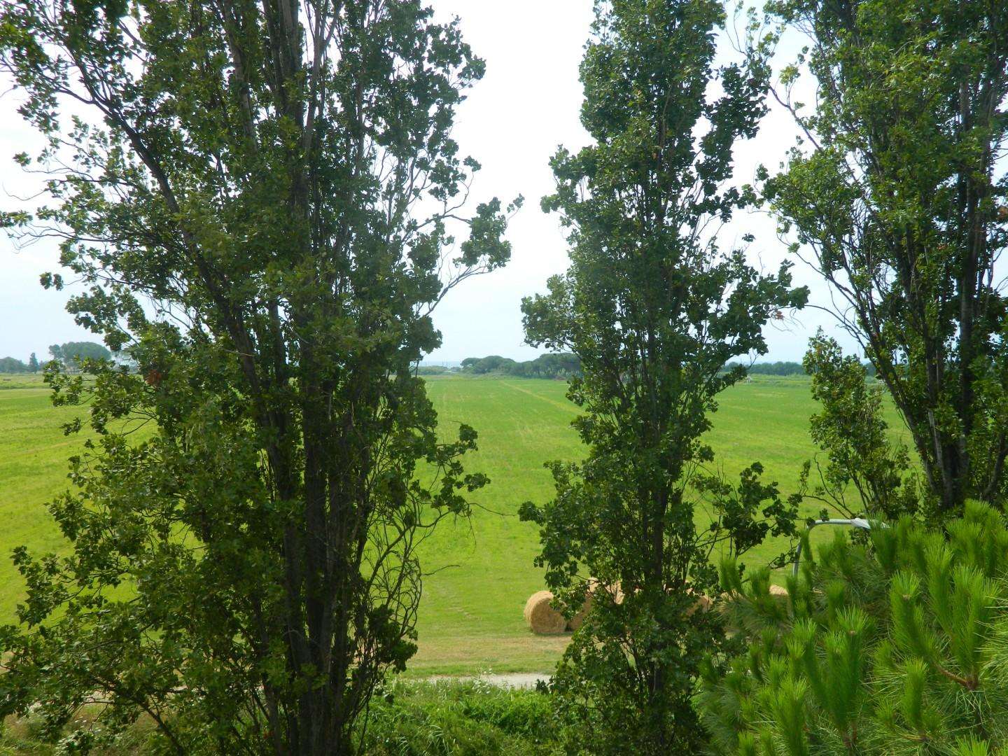  - foto 20