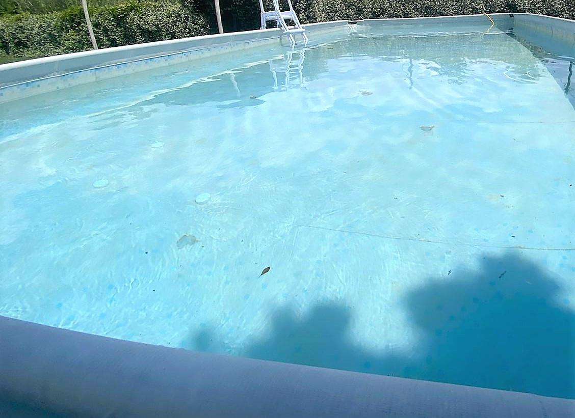  - foto 3