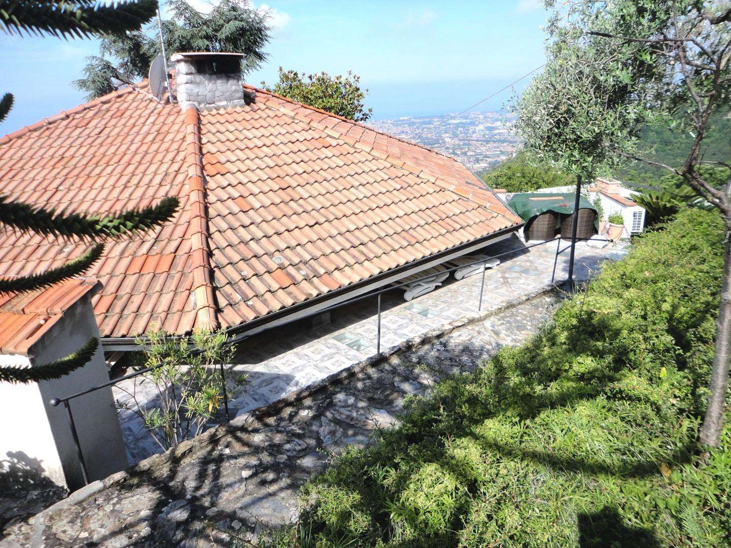  - foto 61