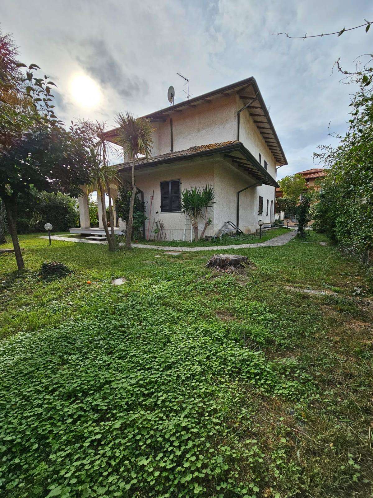  - foto 33