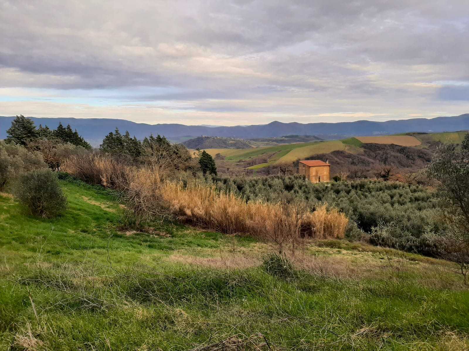 Casa indipendente in Vendita a Todi Località Pesciano